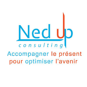 Logo Nedup Consulting